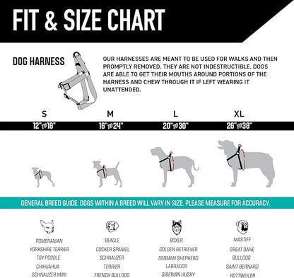 Wolfgang Heavy Duty Adjustable Dog Harness, Pull-Tested to Over 800 lbs for Walking & Training, LosMuertos Print, Medium