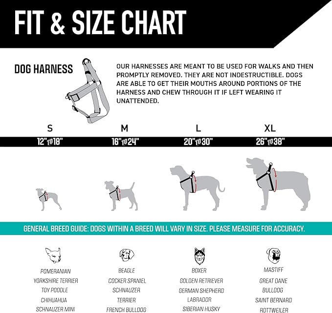 Wolfgang Heavy Duty Adjustable Dog Harness, Pull-Tested to Over 800 lbs for Walking & Training, LosMuertos Print, Small