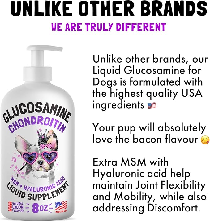 Cranberry UTI Chews for Dogs Bladder Suppot + D-Mannose Supports Kidney Urinary Tract 120 Chews and Liquid Glucosamine for Dogs Bacon Flavour with Chondroitin, MSM & Hyaluronic Acid 8 oz