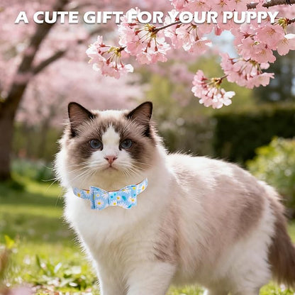 EXPAWLORER Small Collar and Leash Set - Embroidery Pawprints with Bow Tie and Bandana Collar with Bell, Soft Tangle Free Leash for Dogs Cats Outdoor Walking, Holiday Ideal Gift Blue Daisy S
