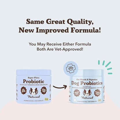 Natural Dog Company Gut Health & Canine Specific Probiotics Chews, 1 Daily Chew for All Dogs, Prebiotics & Digestive Enzymes for Digestion, Gas, Loose Stool, Immune System & Bowel Support