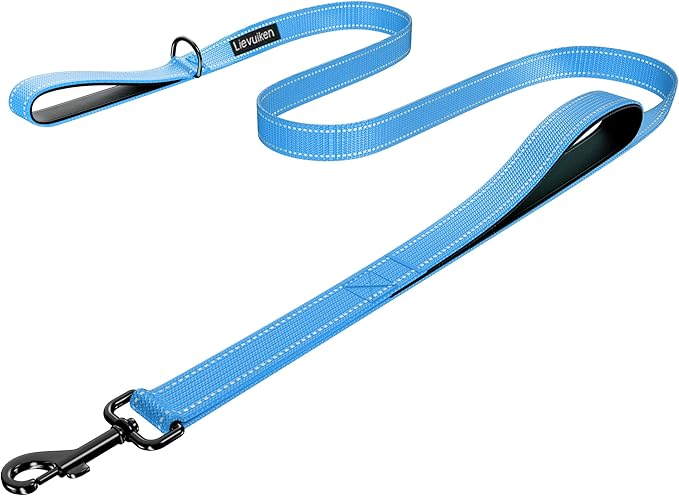 Dog Leash 5ft Long, Double Handle Dog Leash for Safety Control Training, Heavy Duty Dog Leads with Traffic Padded Handles, Reflective Leashes for Small Medium Large Dogs(5ft, Sky Blue)