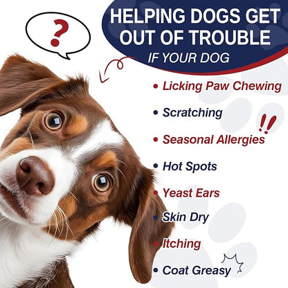 Allergy Relief Chews for Dogs 200 Treats Dog Seasonal Allergy and Immune Bites Dog Itching Skin Anti Itch Licking Paws Treatment Itchy Skin Relief Allergies Support Probiotic Chew Supplement for Dogs