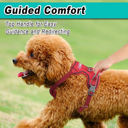 BARKBAY Dog Harness No Pull Mesh for Small Dogs - Adjustable, Reflective, Comfortable, No Choke, Heavy-Duty - Perfect for Outdoor Training, Walking, and Hiking - Strong & Durable - S & Red Mesh