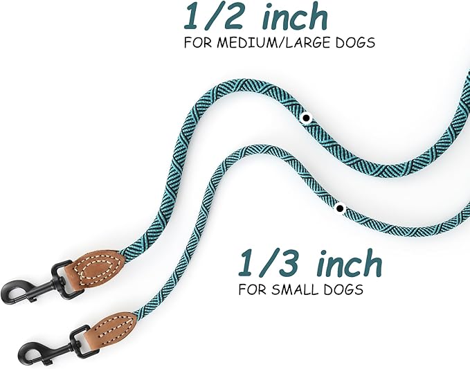 Mile High Life Small Dog Leash, Thin Rope Leash with Genuine Leather Connection and Heavy Duty Metal Clasp, Great for Small Medium Dogs(Turquoise Green, 48 Inch-1/3)