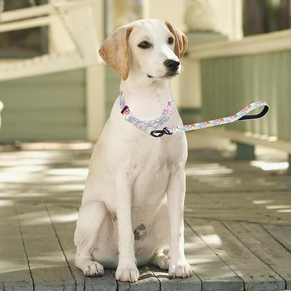 Martingale Dog Collar with Stainless Steel Chain - Limited Chain Cinch Training Collar for No Pull Training Dog - Flower Multicolor Cute Patterns - Premium No Slip Collar (XL, White Set)