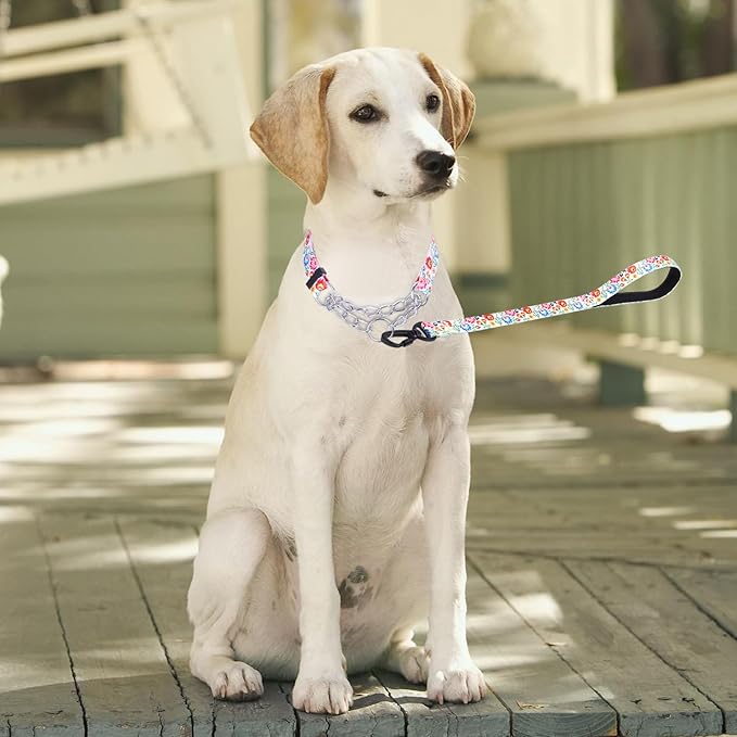 Martingale Dog Collar and Leash Set, Stainless Steel Chain, No Pull Training Collar with Flower Design, for Small, Medium, Large Dogs (NO25, L)