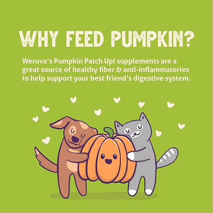 Weruva Pumpkin Patch Up! Pumpkin Pumpkin, What's Your Function Variety Pack for Dogs & Cats, 1.05oz Pouch (Pack of 12)