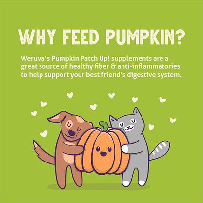 Weruva Pumpkin Patch Up!, Pumpkin Puree Pet Food Supplement for Dogs & Cats, 2.80oz Pouch (Pack of 12)