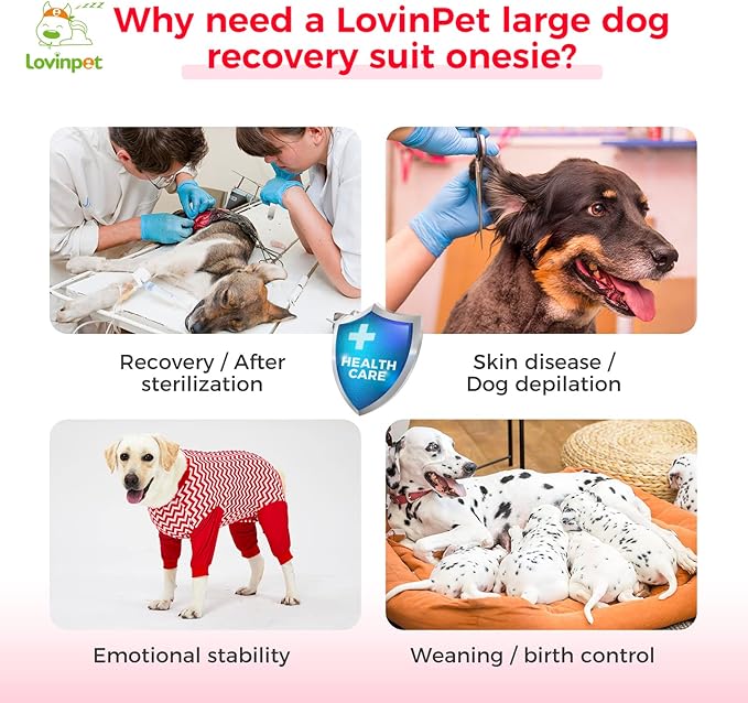 LovinPet Dog Recovery Suit for Large Medium Dogs - Cut-Out Design of Abdomen Recover Comfortably Well Protection Pet Onesie Suit Pet Pajamas Dog Anti Licking Bodysuit,Red Wave Pattern,XXL