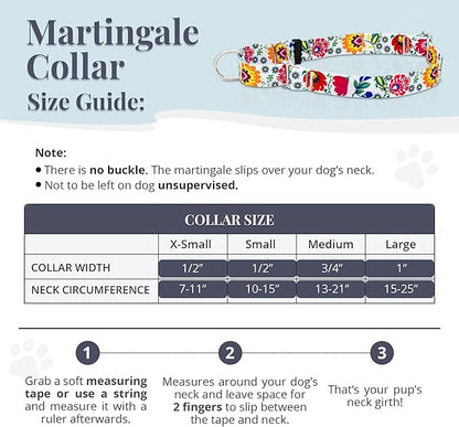 Lucky Love Dog Martingale Dog Collar - Adjustable, No-Slip, Durable, & Soft Webbing Collar for Male and Female Dogs Ideal for Training & Walking - Ladybird, Medium