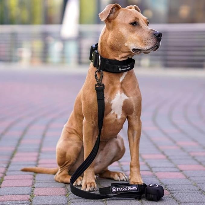 Spark Paws Premium Dog Leash & Poop Bag Set - Heavy-Duty Alloy Hook for Strong Pulling Breeds - Comfortable, Durable & Secure - Black