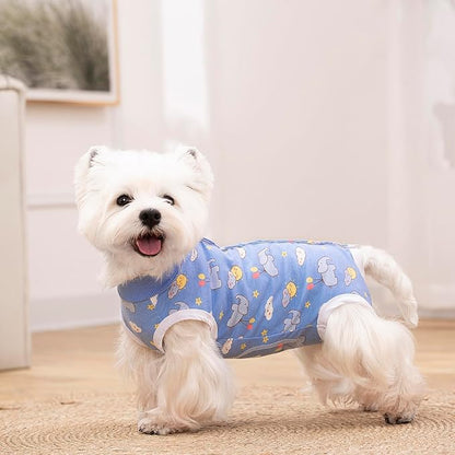 2 Packs Pet Dog Recovery Onesie Suit for Dogs Cats After Surgery,Dog Abdominal Wounds Bandages Cone E-Collar Alternative. (Blue, XL)