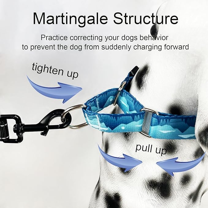 Martingale Collar for Dogs with Buckle Dog Collar Adjustable Soft Nylon Boy Dog Collars for Large Dogs, Blue Sunset