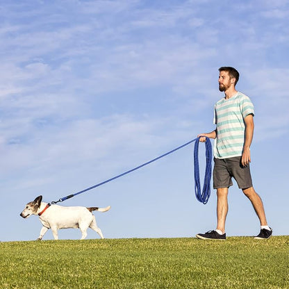 Long Dog Leash for Training 30Ft-Reflective Nylon Rope with Swivel Hook-Recall Agility Lead for Large Small Medium Dogs Outside Walking Hiking-Royal Blue Diam 1/2"