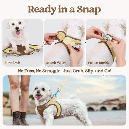 rabbitgoo Dog Harness Small Sized and Leash Set, Step in Soft Light Puppy Vest, Breathable Mesh Pet Harness, Reflective for Safe Easy Walking, Brown & Beige S