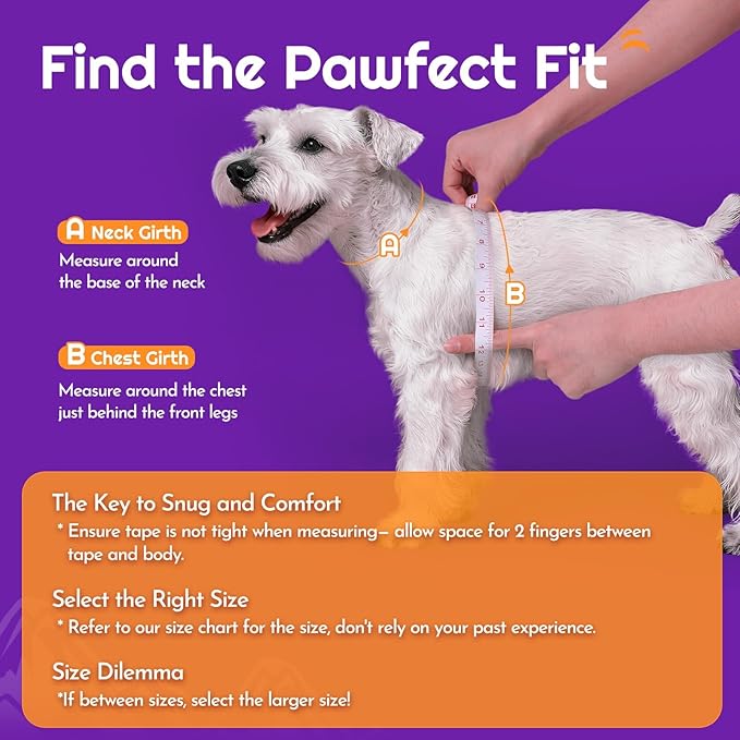 Eagloo Small Dog Harness and Leash Set, Step in Puppy Vest with Breathable Soft Mesh, Walking Reflective Pet Harness for Small Dogs, Purple, XS