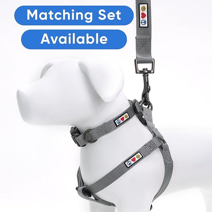 Pawtitas Solid 6 ft Grey Dog Leash XS/S Custom Name and Phone Embroidery Strong Nylon Leash for Small Breeds