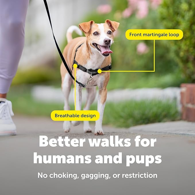 PetSafe Easy Walk Harness for Dogs - Pull-Free Walks - Patented Martingale Loop Design - Front Chest Leash Attachment - Comfort Straps - Breathable Harness Design - Small, Charcoal/Black