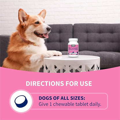 Nutramax Proviable Probiotics for Dogs, Daily Digestive Health Supplement with Multiple Strains of Bacteria, Dog Probiotics Plus Prebiotics, 60 Chewable Tablets,(Pack of 2)