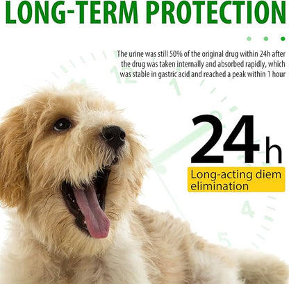 Dog Antibiotics Antibiotics for Dogs Dog Eye Infection Treatment Dog Cough Treatment Dog Cough Treatment 2.02fl.oz (60ml)