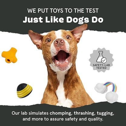 Barkbox Jitter Pug Coffee Bean Dog Toy for Medium Dogs, Hidden Surprise Toy Inside for Engaged and Excited Playtime Fun
