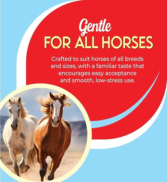 Ivermectin Paste 1.87% Only Use for Horses – Apple Flavor Oral Paste – 6.08g Syringe - Gel Dewormer for Horse - Safe for Equine of All Ages (2 - Pack)