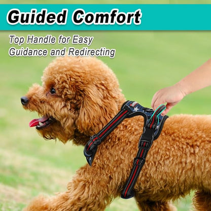 BARKBAY Dog Harness No Pull Mesh for Small Dogs - Adjustable, Reflective, Comfortable, No Choke, Heavy-Duty - Perfect for Outdoor Training, Walking, and Hiking - Strong & Durable - S & Blue Star Mesh