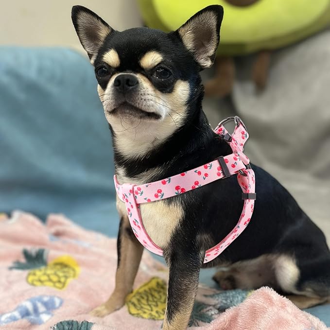 QQPETS Dog Harness Leash Set Adjustable Heavy Duty No Pull Halter Harnesses for Small Medium Large Breed Dogs Back Clip Anti-Twist Perfect for Walking (M(19"-26" Chest Girth), Sakura Pink)