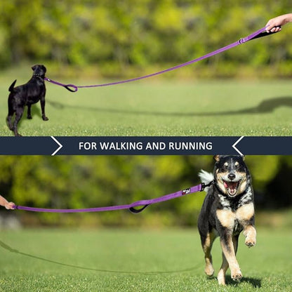 Plutus Pet Double Handle Dog Leash 5ft, Heavy Duty, Reflective Dual Handle Dog Leash for Safety Training, for Medium Large Dogs,2 Handle Leads(Purple)
