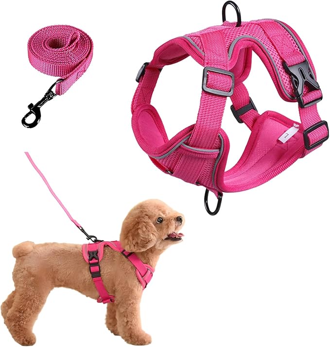 SOLMOONY Small Dog Harness,Soft Mesh Puppy Harness and Leash Set,No Escape Cat Harnesses for Training Walking,Reflective Adjustable Puppy Vest for Small Medium Dogs, Cats (Hot Pink, M)