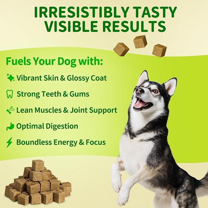 MAJOR PETS Freeze Dried Beef Liver Dog Treats - Single Ingredient - No Preservatives & High Protein - Grain Free - Premium Training Treats & Meal Topper - Made and Sourced in the USA - 10 oz