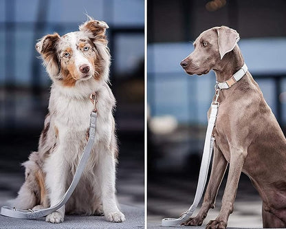 Soft Leather Dog Collar and Leash (6.6') Set - Stylish Rose Gold Heavy Duty Metal Buckle, 4 Adjustable Lengths Leash for Small Medium Large Dogs - Comfortable & Easy to Clean White L(15.4"-24.8")