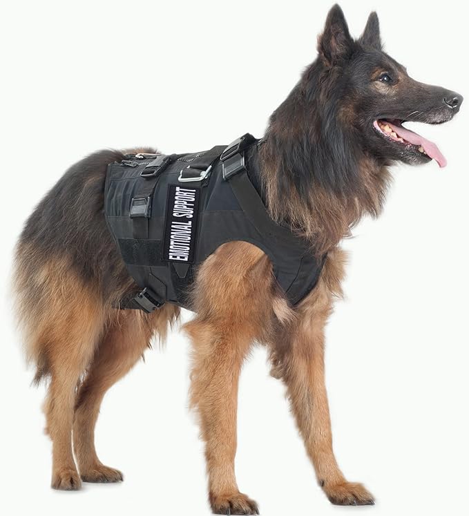 Pistha 12 Pieces Removable Tactical Dog Harness Service Dog Vest Patches Do Not Pet in Training and Emotional Support Dog Vest Patches(3.6 x 1.6Inch)