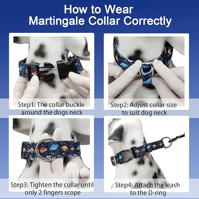 Martingale Dog Collars with Buckle No Slip Training Boy Dog Collar for Medium Dogs (Blue Space, Medium)