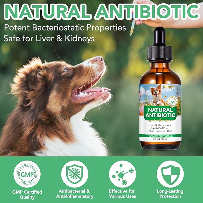 Antibiotics for Dogs, 60ML Natural Antibiotics for Dogs, Dog Antibiotics, Dog Supplies Antibiotics, Dog Multivitamin for Pets, Natural Dog Antibiotics Supports Dog Allergy and Itch Relief