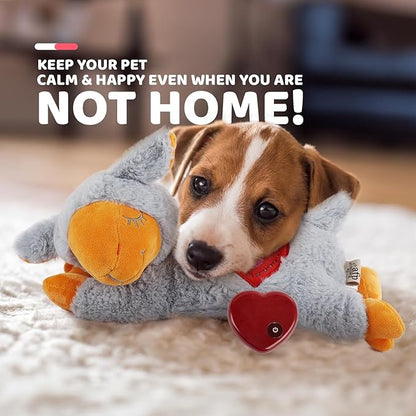 ALL FOR PAWS Heartbeat Puppy for Dogs, Dog Anxiety Relief and Calming Aid Toys, Heartbeat Stuffed Animal Toy for Behavioral Training, Snuggling Plush Toy for Puppy Sleep Aid, Grey Sheep