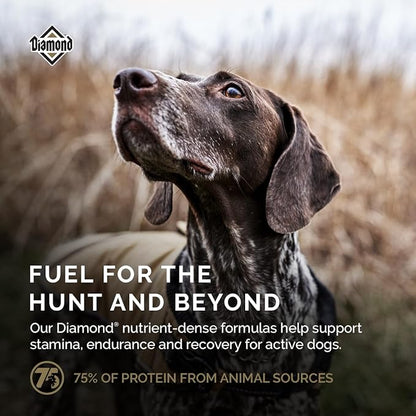 Diamond Premium All Life Stages Dry Dog Food 26/18 for Active, Athletic & Sporting Dogs 6lb Bag