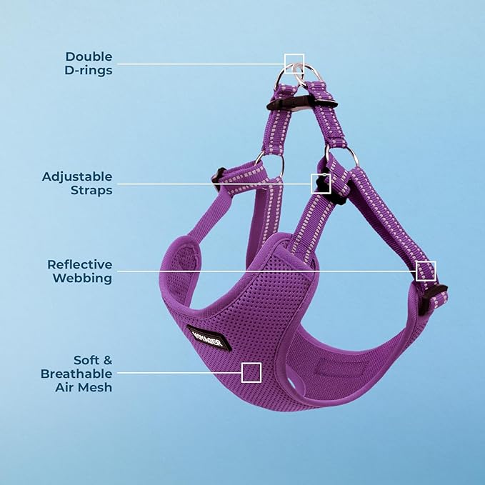 Best Pet Supplies Voyager Adjustable Step-in Flex Breathable Mesh Dog Harness for Small Medium Large Dogs (Purple), S