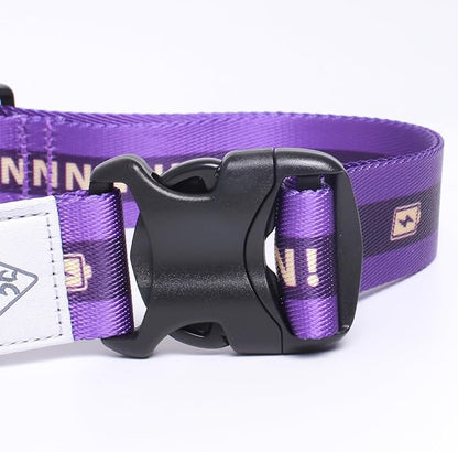 Hands Free Dog Leash, Heavy Duty with Waist Belt & Storage Pouch, Strong Pull Control, Two Handles Bungee for Running & Walking, Big & Medium Dogs, Purple