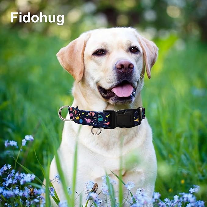Martingale Collar for Dogs with Buckle No Pull Adjustable Nylon Limited Slip Training Dog Collars (Blue Dinosaur, Small)