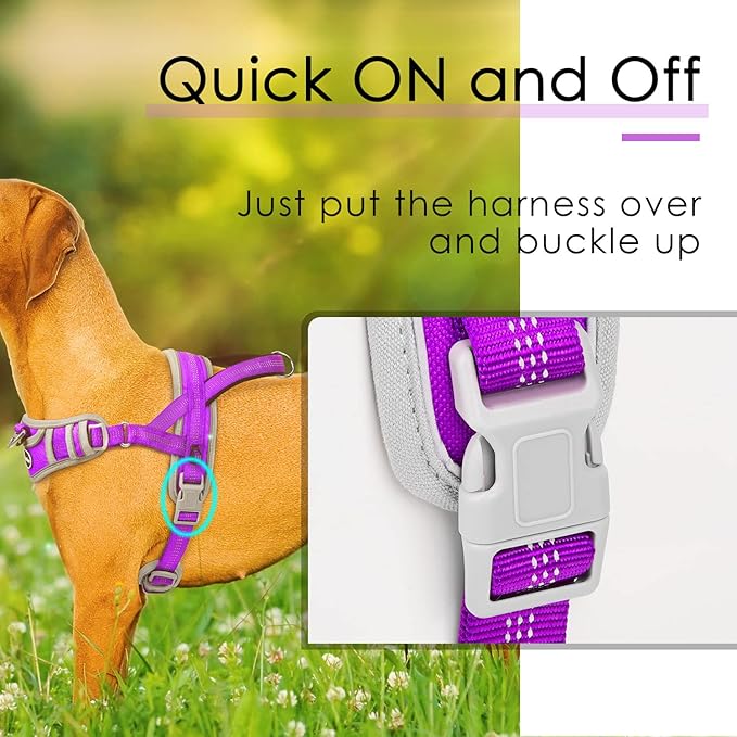 ADVENTUREMORE Dog Harness for Medium Dogs No Pull, Sport Dog Halter Harness Adjustable Reflective Dog Vest Escape Proof Dog Harness with Easy Control Front Clip Handle for Training Walking M Purple