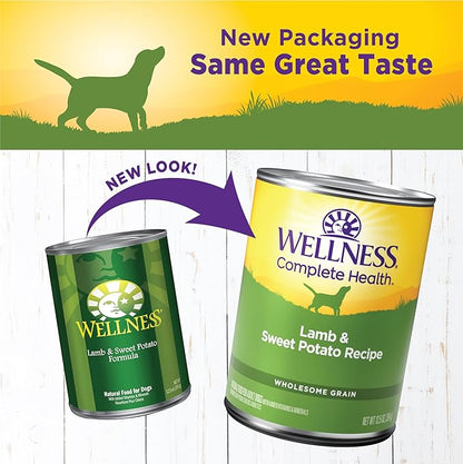 Wellness Complete Health Pate Adult Canned Wet Dog Food, Wholesome Grains, Natural, Lamb and Sweet Potato, 12.5 oz, Pack of 12 Cans