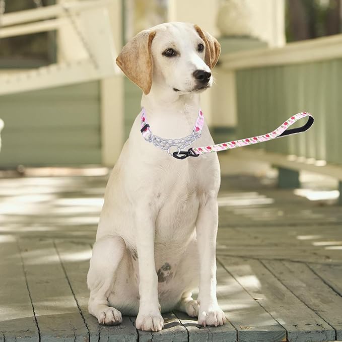 Martingale Dog Collar with Stainless Steel Chain - Limited Chain Cinch Training Collar for No Pull Training Dog - Flower Multicolor Cute Patterns - Premium No Slip Collar (S, Roses Set)