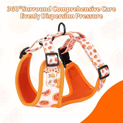 Dog Cat Harness and Leash Set, Puppia Soft Mesh Padded and Adjustable Puppy Vest Cute Dog Clothes Escape Proof Easy Walk Pet Accessories (Grapefruit, M (Neck 13.4"-16.5"; Chest 17.7"-23"))