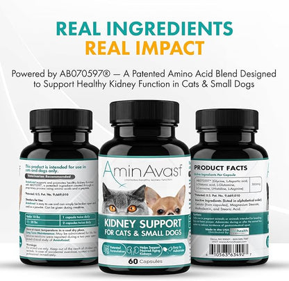 AminAvast Small Dogs & Cat Kidney Support - Promotes Healthy Kidney Support in Cats & Small Dogs - 300mg, 60 Capsule