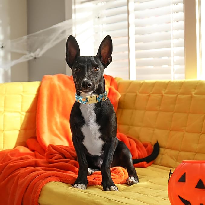Unique style paws Dog Collar Green Pumpkin Flower Metal Buckle Durable Puppy Collar Halloween for Small Medium Large Boys Girls Dogs