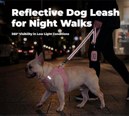 Best Pet Supplies Voyager Reflective Dog Leash or Collar with Neoprene Handle, for Small, Medium, and Large Breed Puppies, Cute and Heavy Duty for Walking, Running and Training - Soft Pink (Leash), M