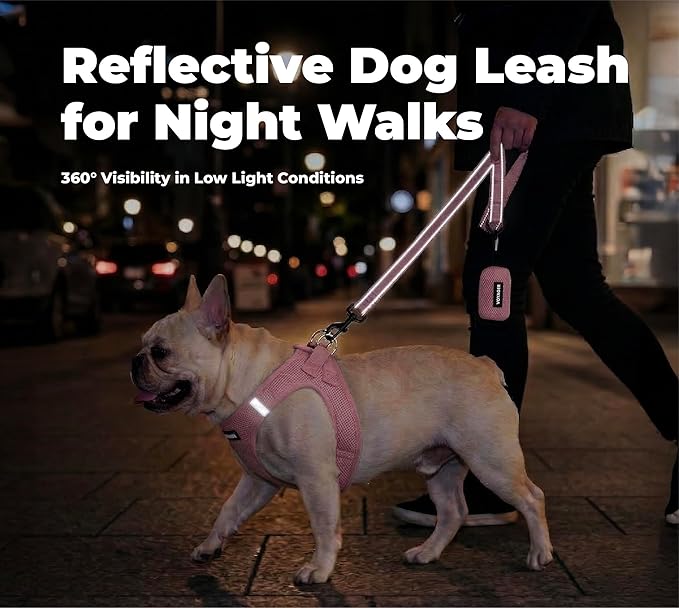 Best Pet Supplies Voyager Reflective Dog Leash or Collar with Neoprene Handle, for Small, Medium, and Large Breed Puppies, Cute and Heavy Duty for Walking, Running and Training - Pink (Leash), L