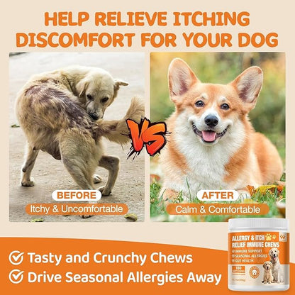 Dog Allergy Relief Chews - Advanced Dog Allergy Chews - Dоg Itching Skin Relief Treatment Pills with Probiotics - Immune Support & Skin Relief for Coat, Seasonal Allergies - 60 Treats Chicken